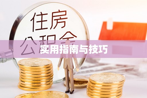 东昌府实用指南与技巧