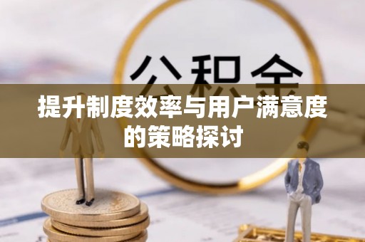 东昌府提升制度效率与用户满意度的策略探讨